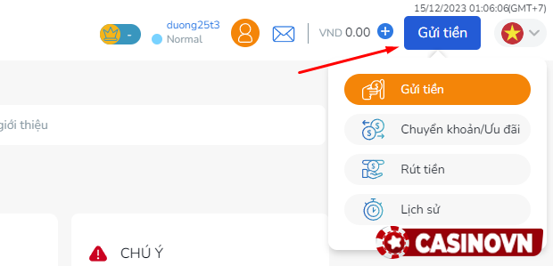 Gửi tiền vào casino phổ biến tại Việt Nam BK8