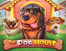 The Dog House